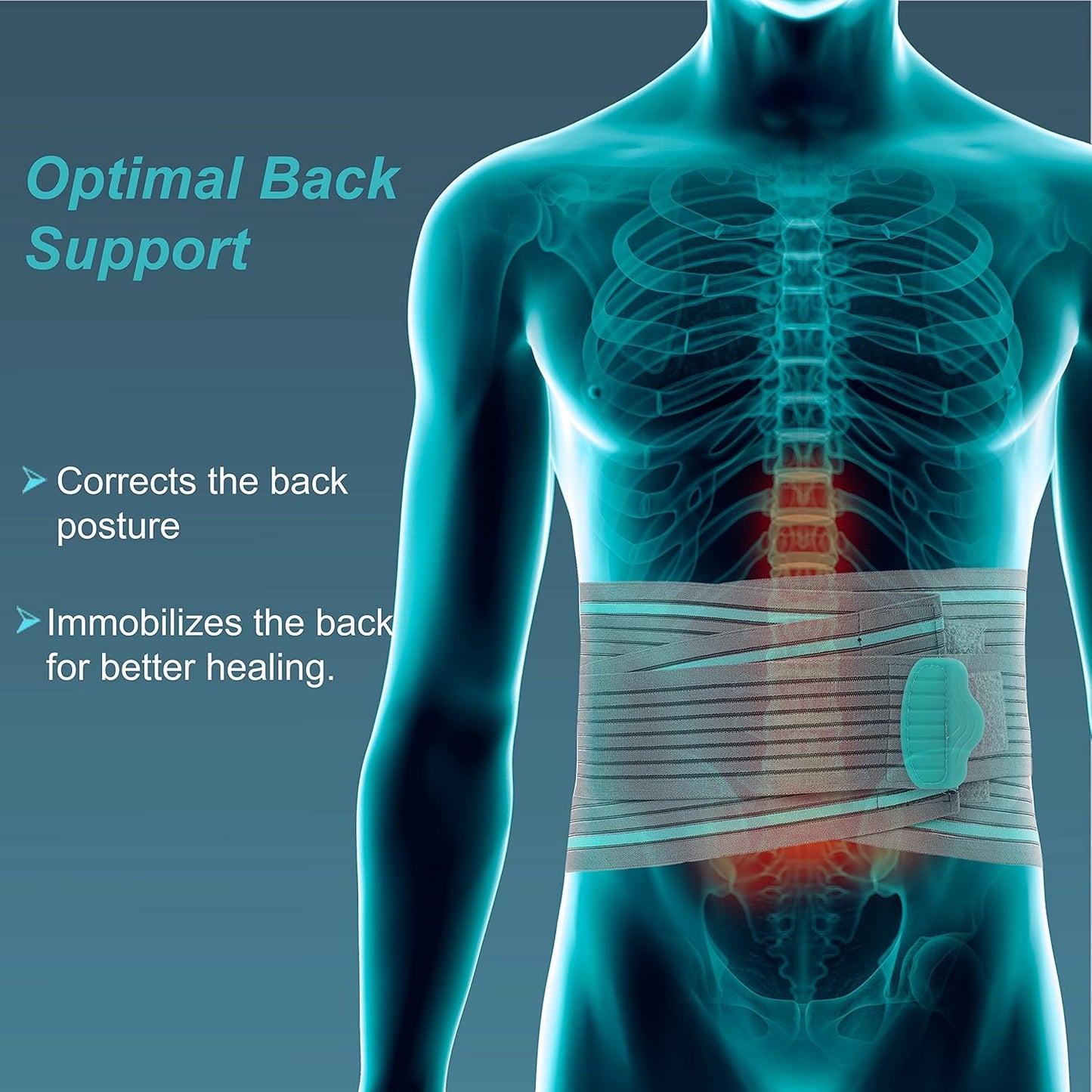 TYNOR Lumbo Sacral Belt